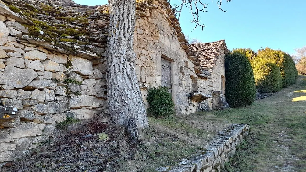 Lejlighed Le Gite Du Tarn Aguessac